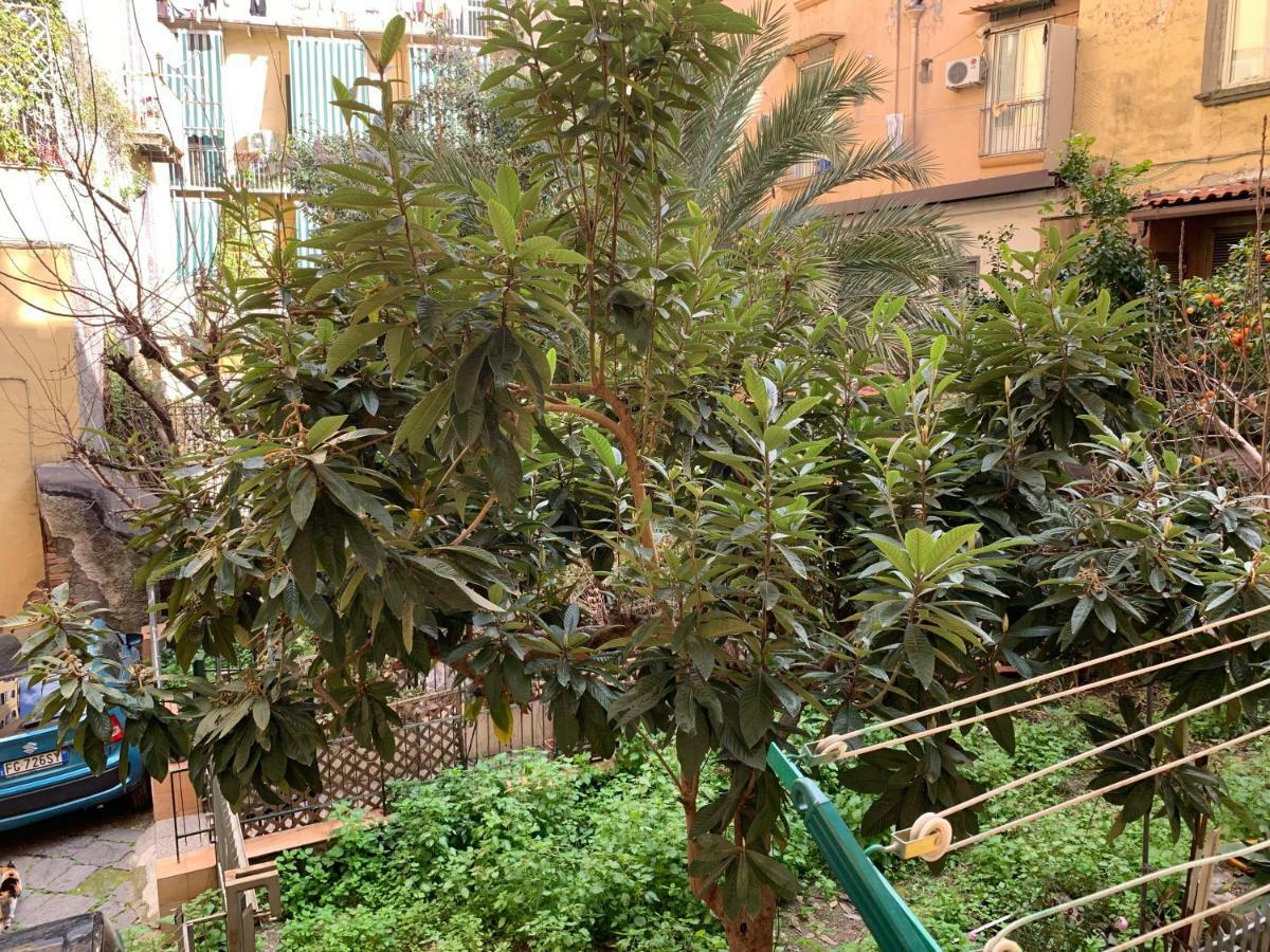 Da Ninetta Resterete Senza Parole, Garantito! Νάπολη Εξωτερικό φωτογραφία